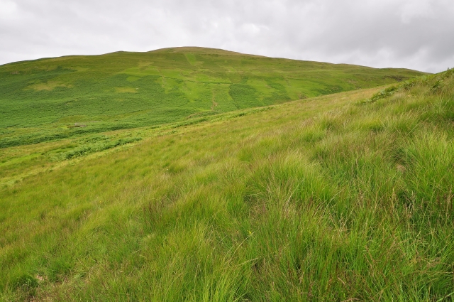 File:Clachleith Burn - geograph.org.uk - 1425697.jpg