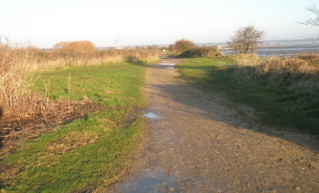 File:Distant walker on the Solent Way - geograph.org.uk - 1071266.jpg