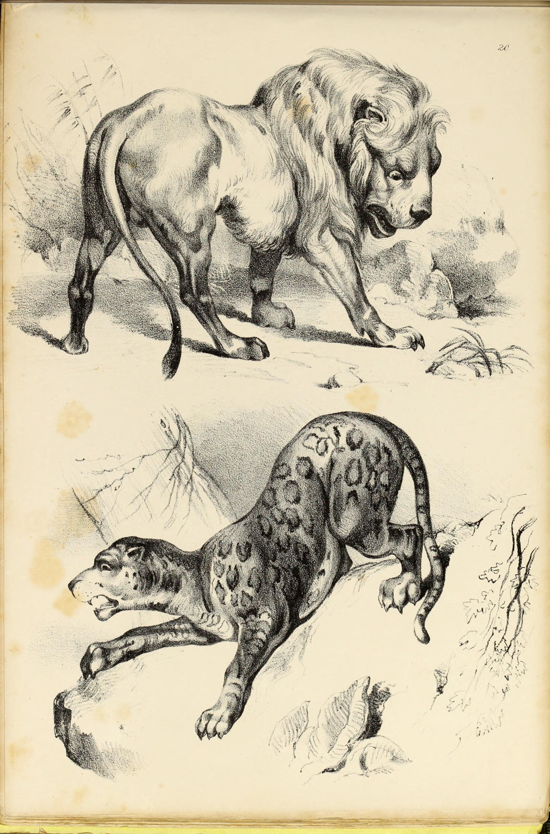 File:Fairland's juvenile artist, or, Easy studies for beginners in drawing,  of figures, animals, shipping, and landscape (1838) (14596900208).jpg -  Wikimedia Commons