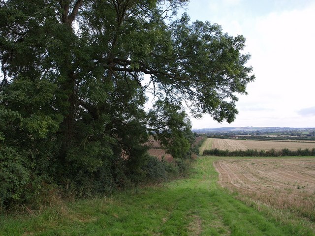 File:Field near Tintinhull - geograph.org.uk - 540984.jpg