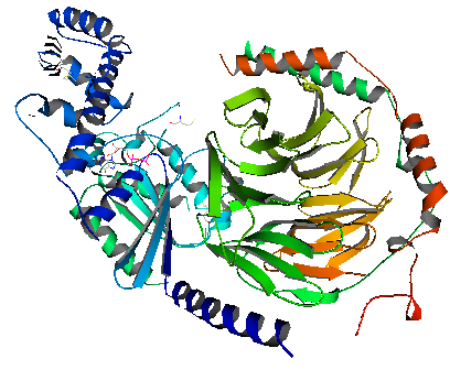 3D structure of a heterotrimeric G protein