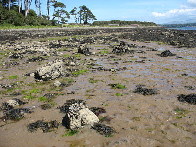 File:Glacial deposits exposed at low tide. - geograph.org.uk - 524825.jpg