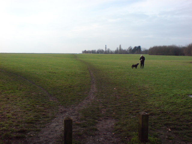 File:Great Lines, Gillingham - geograph.org.uk - 639626.jpg