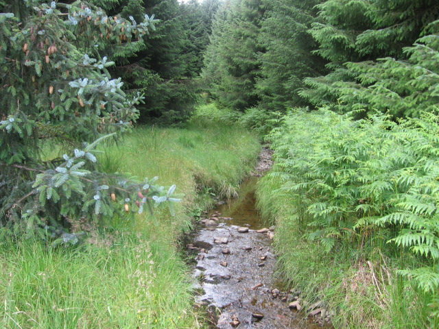 File:Grey Burn - geograph.org.uk - 508264.jpg