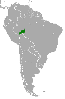 Distribución del tití de Hershkovitz