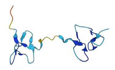 Double-knot toxin - Wikipedia