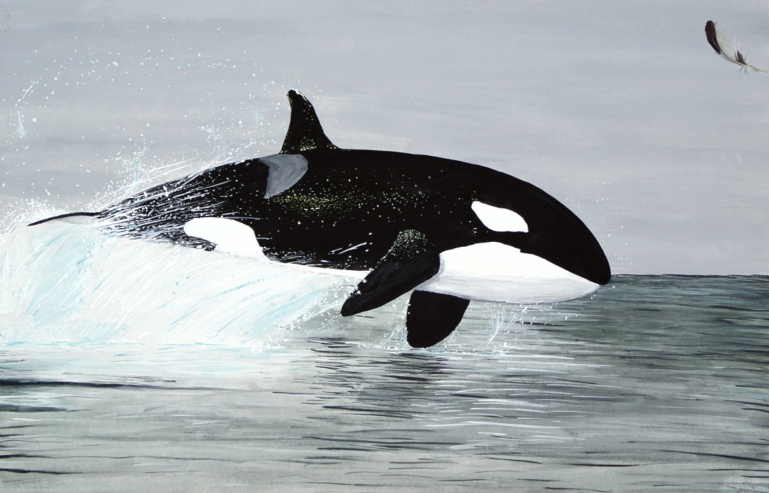 Orca ORCA