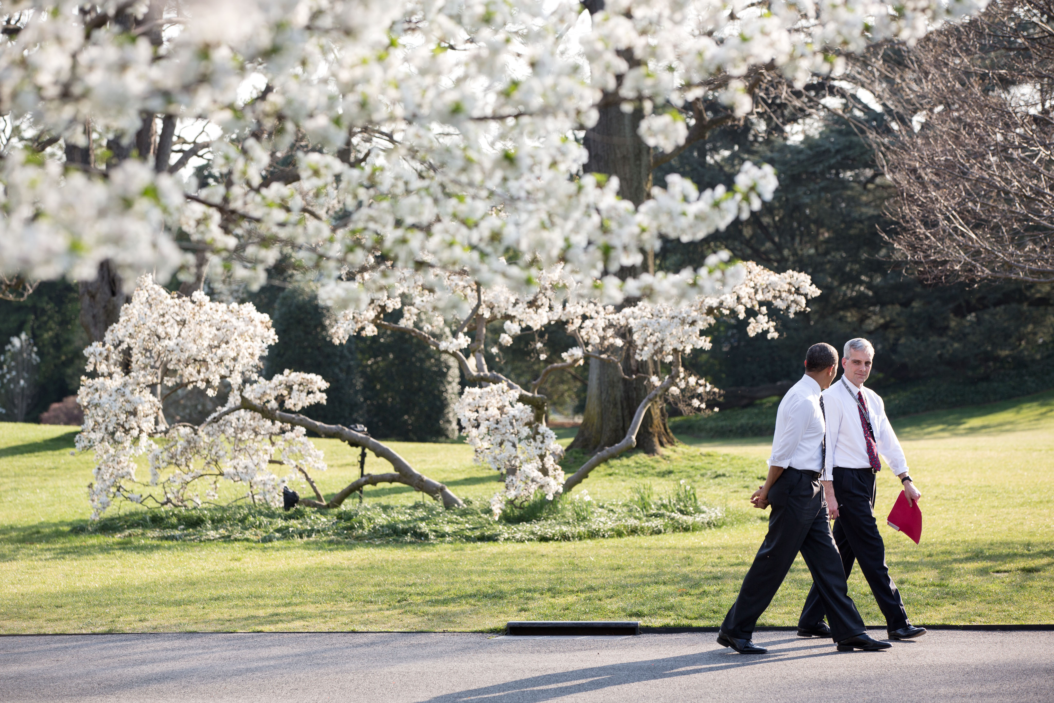 Spring walk