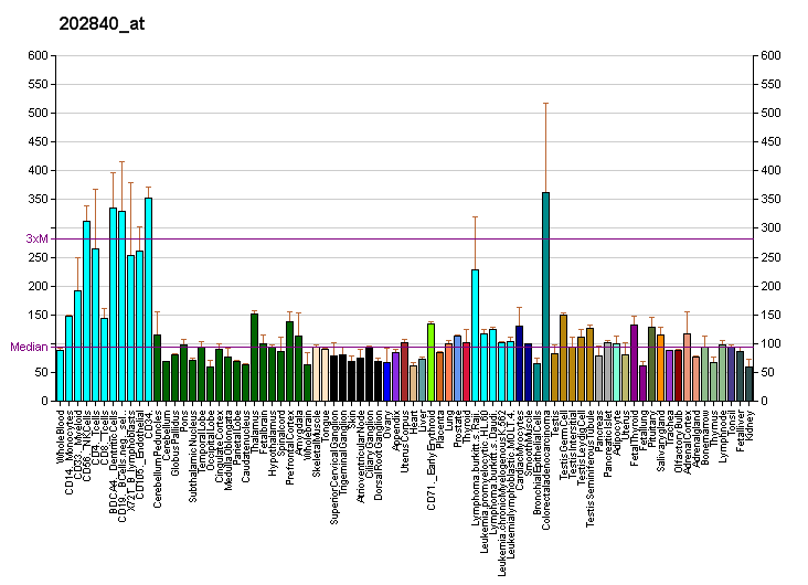 File:PBB GE TAF15 202840 at fs.png