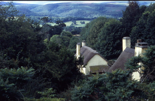 Periwinkle Cottage Selworthy Picture Of Periwinkle Tea Rooms Selworthy Tripadvisor