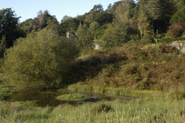 File:Small tarn at White Moss Common - geograph.org.uk - 988691.jpg