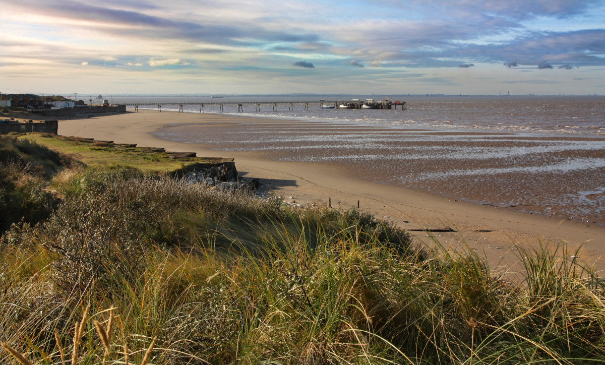 Point photo. Spurn.