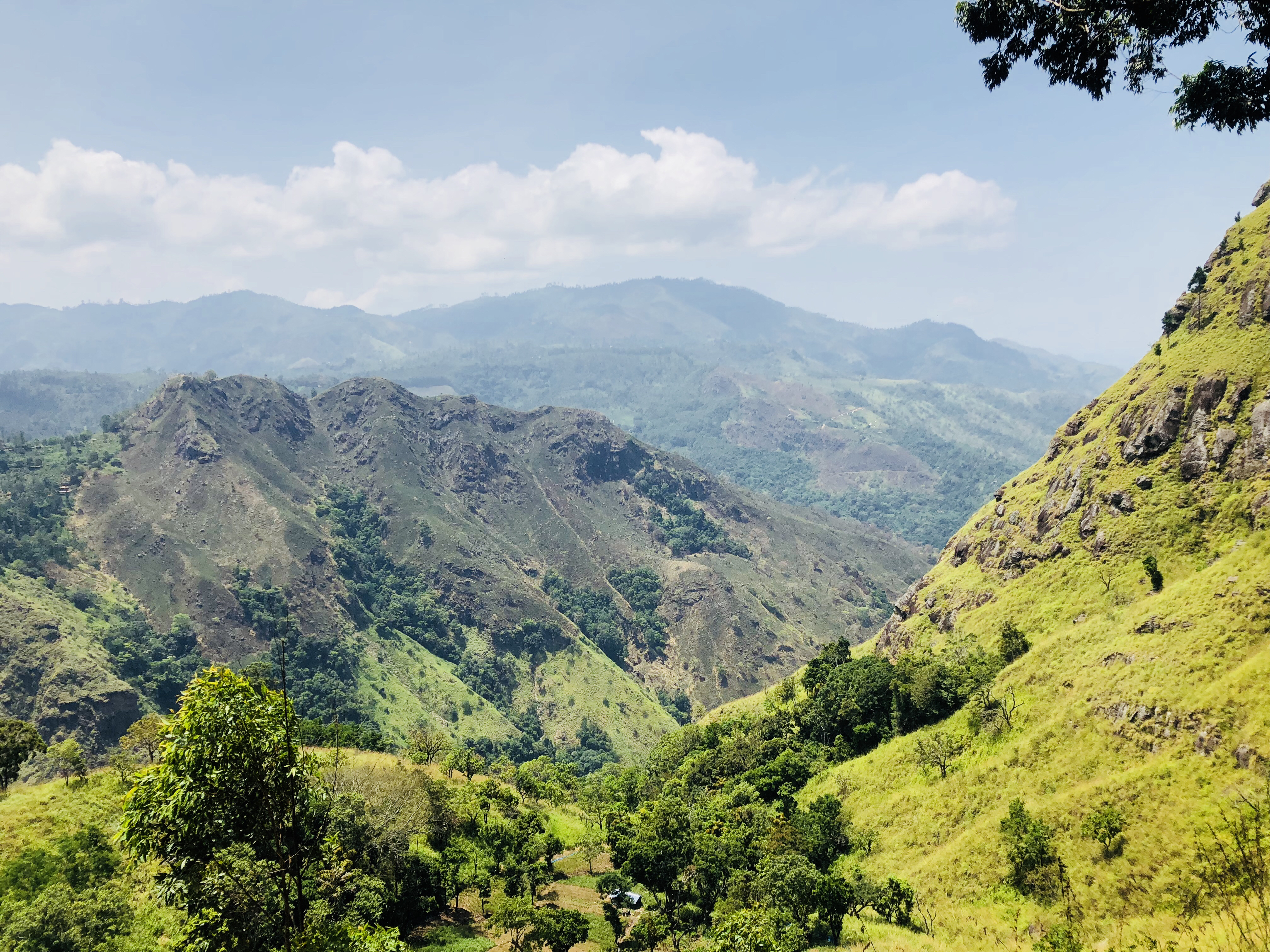 bliver nervøs Grønthandler nød File:Sri Lanka's Natural beauty at Ella Rock mountain.jpg - Wikimedia  Commons