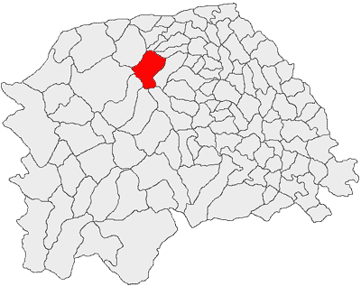 File:Sucevita jud Suceava.png