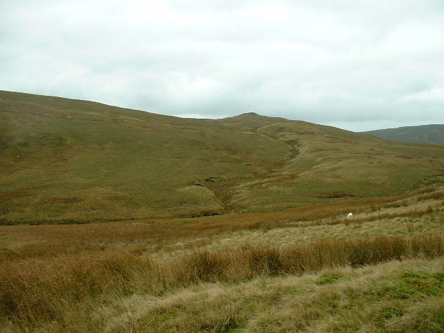 File:The Migneint - geograph.org.uk - 61311.jpg