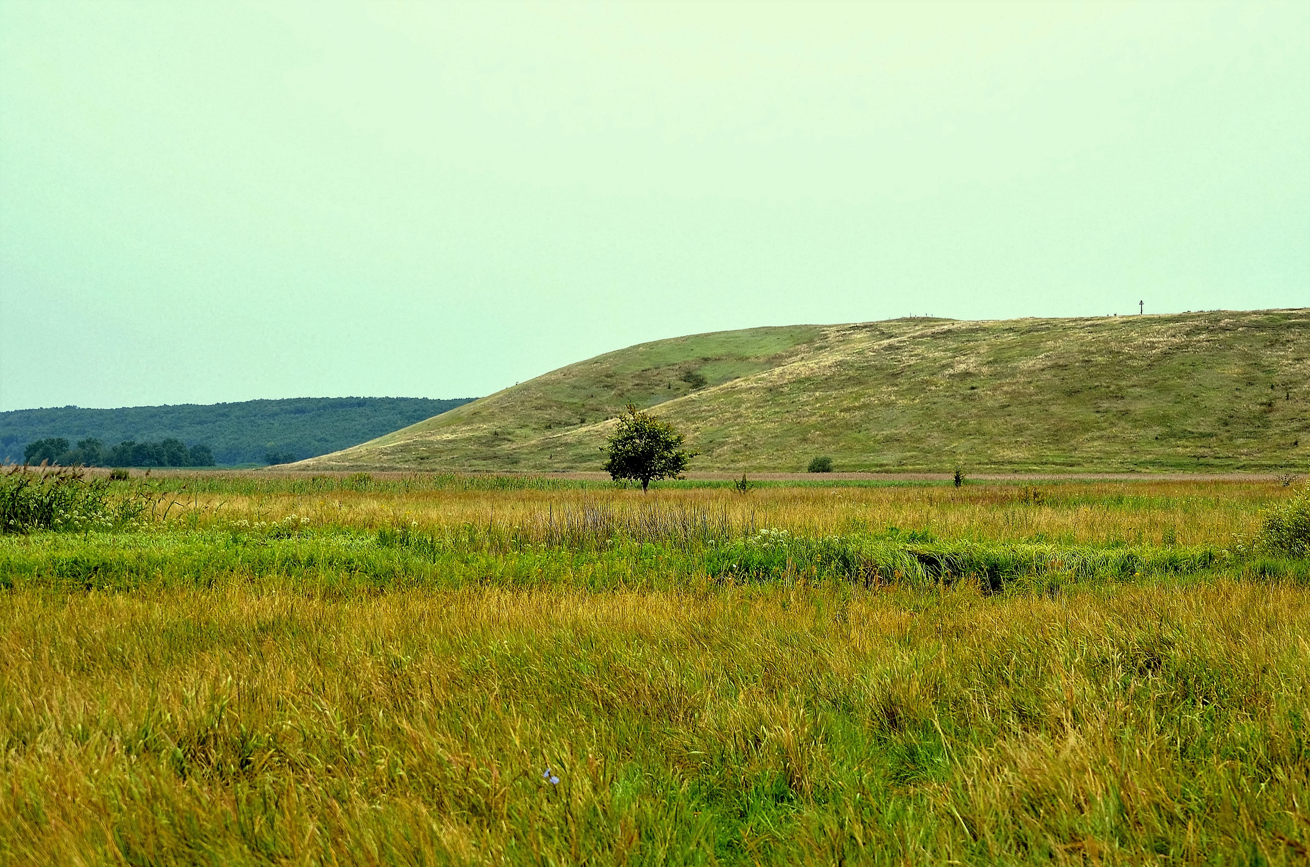 Новохоперск село троицкое погода. Лысая гора Воронежская область. Лысогорский монастырь. Плаутино Новохоперский район. Лысая гора Ставропольский край Новотроицкое.