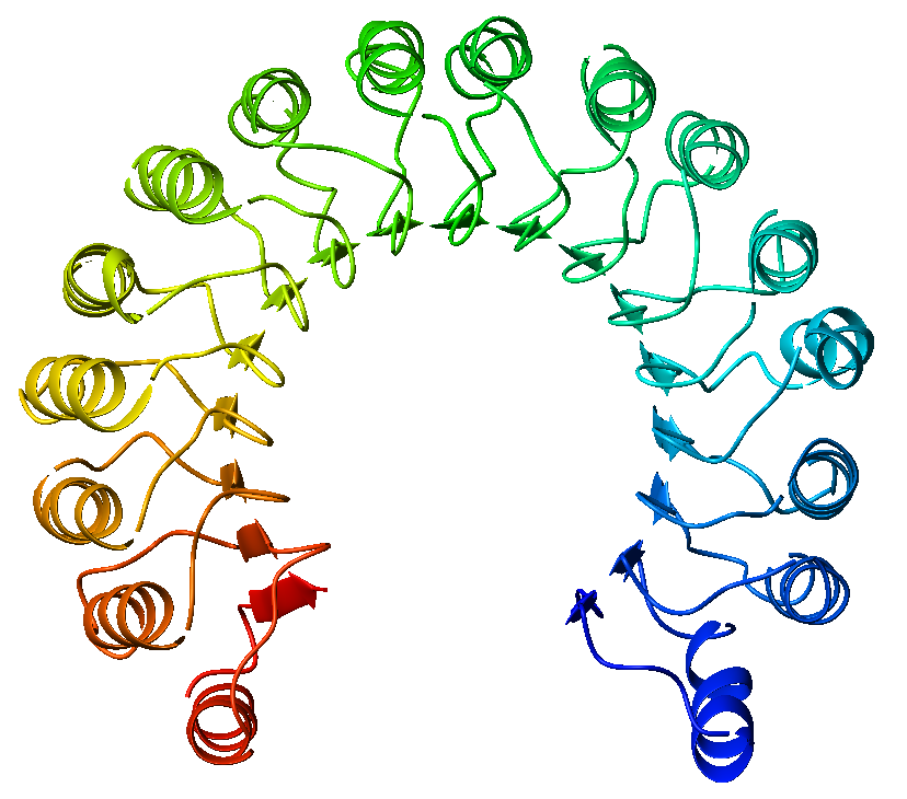 Leucine-rich repeat