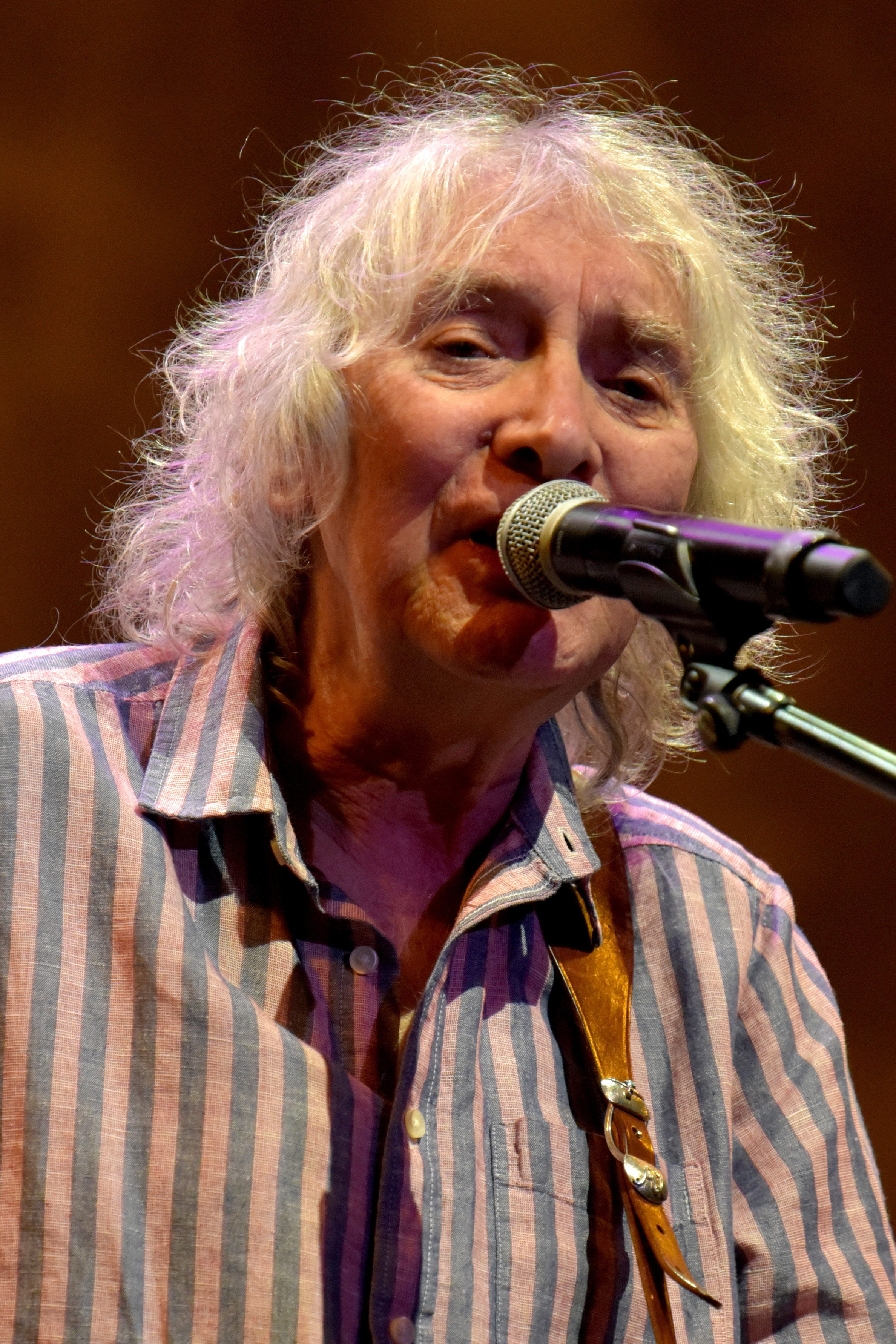 albert lee guitar