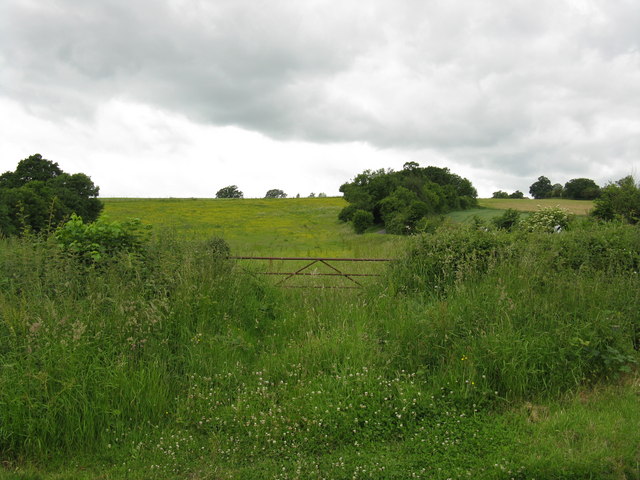 File:Alfrick - grassland opposite Crews Hill Court - geograph.org.uk - 840212.jpg