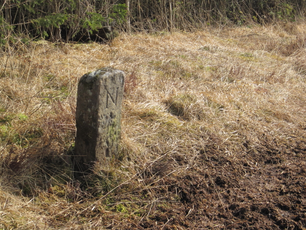 File:Boundary Stone near Black Belling - geograph.org.uk - 1753679.jpg