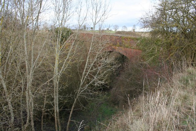 File:Bridge through the trees - geograph.org.uk - 1657563.jpg