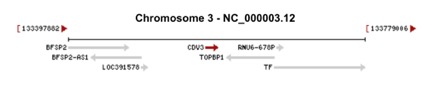 Chromosome location of CDV3 from NCBI Gene. CDV3 Chromosome Location.jpg