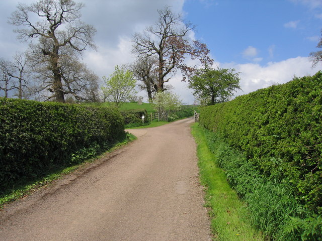 File:Country Lane near Oversley Castle, Wixford - geograph.org.uk - 177189.jpg