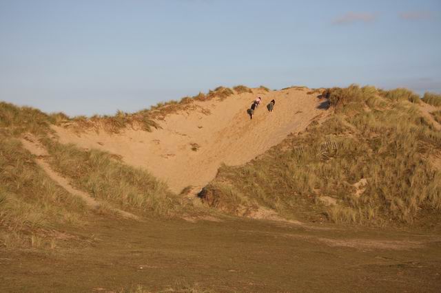 File:Dune damage - geograph.org.uk - 599921.jpg