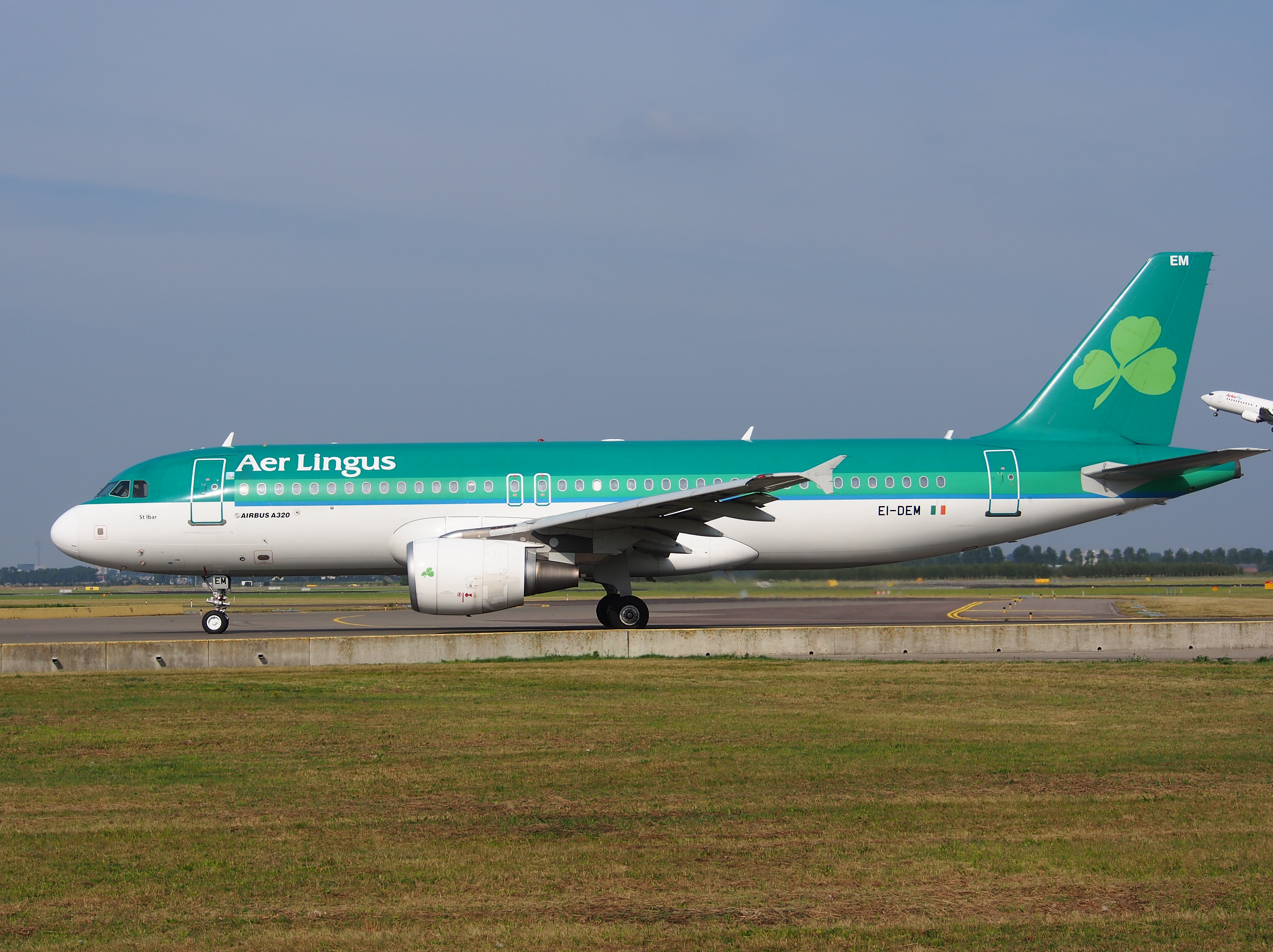 Anna lingus