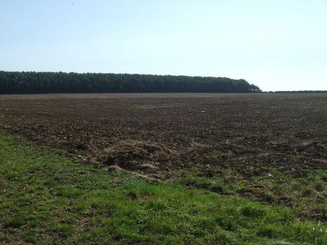 File:Farmland near Rookery Top - geograph.org.uk - 4636376.jpg