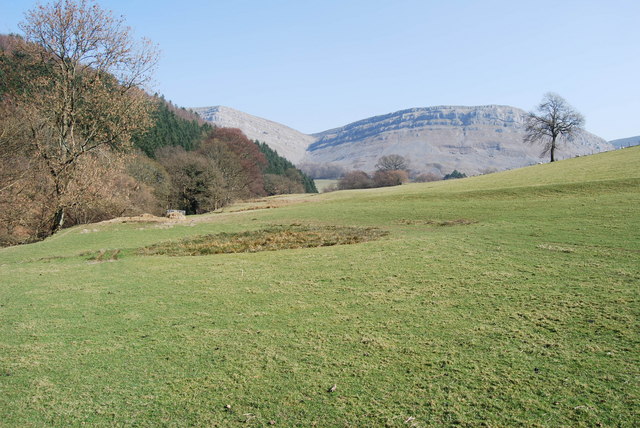File:Fields recovering from overwintering sheep - geograph.org.uk - 1219808.jpg