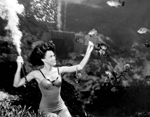 File:Frances Dwight feeding the fish as a part of the underwater show at Weeki Wachee Springs (3295450288).jpg