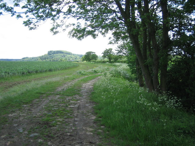 John Bunyan Trail towards Sharpenhoe - geograph.org.uk - 437900