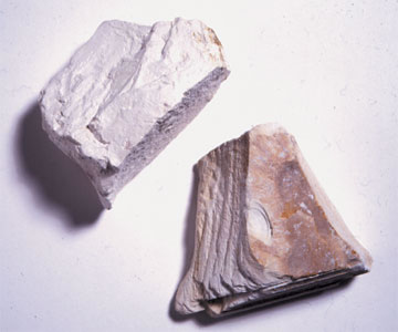 BLLBOO Cailloux d'argile - Cailloux d'argile hydroponiques Milieux de  Culture Roches d'argile anionique pour système hydroponique