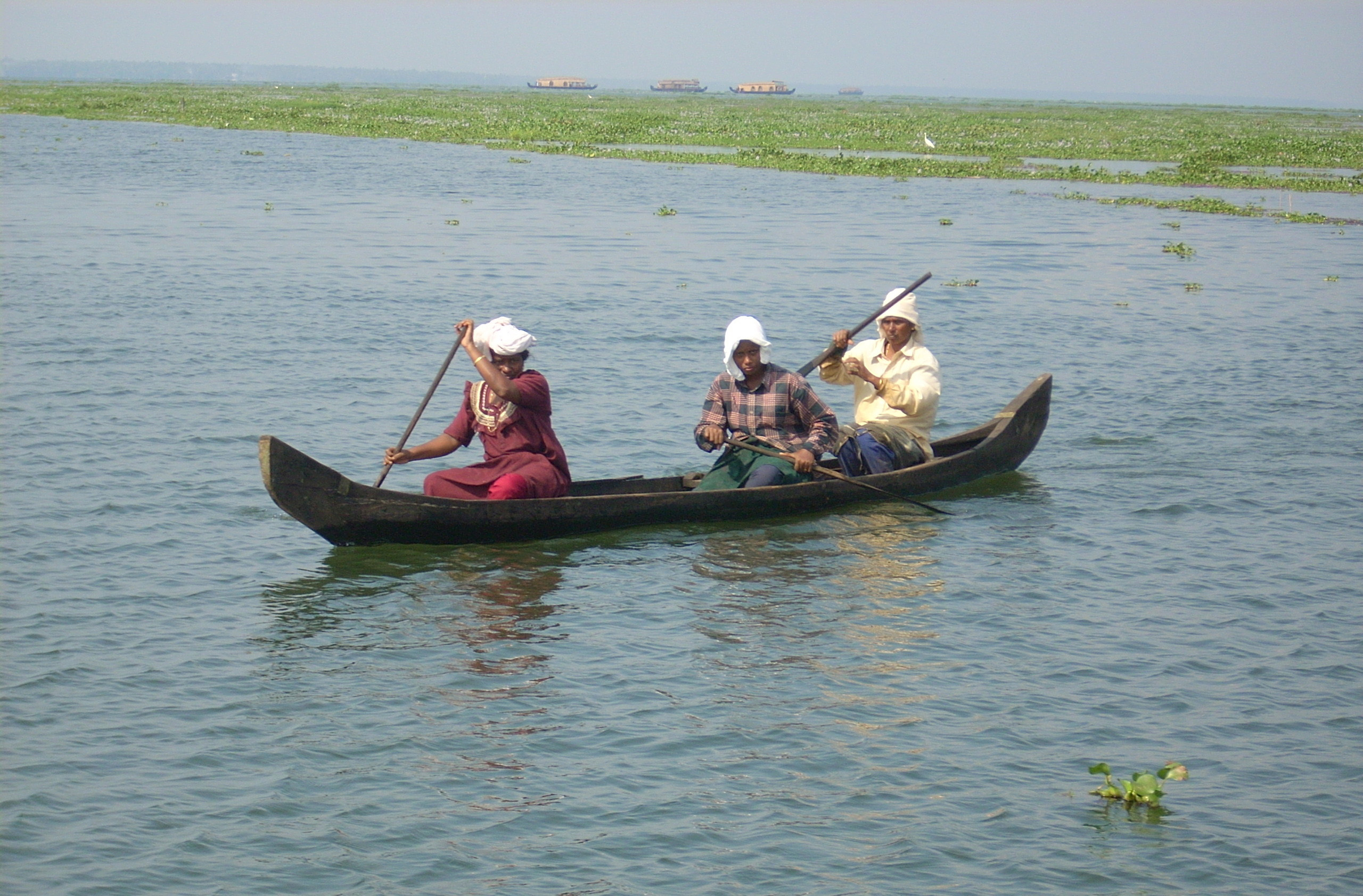 File:Kerala Country Boat.jpg - Wikimedia Commons