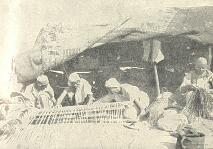 File:Knud Holmboe Bedouins making mats 1930.jpg