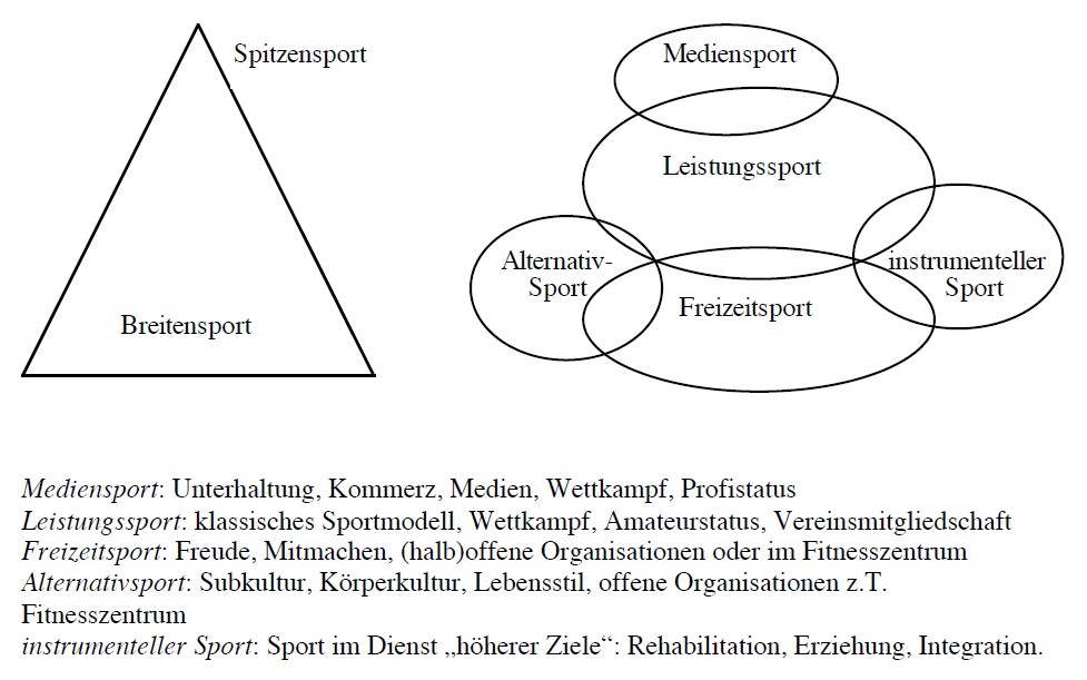 [Bild: Lamprecht-Stamm_Einteilung_Sport.jpg]