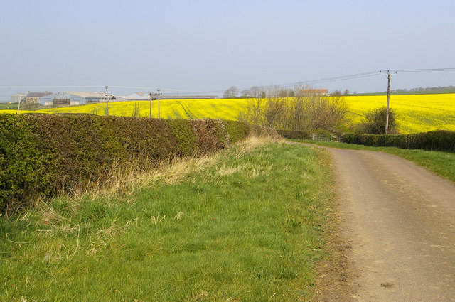 File:Lane near Kentstone - geograph.org.uk - 416863.jpg