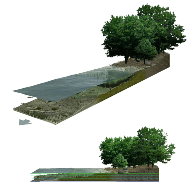 Labeled illustration of a salt marsh at spring high tide, from isometric and side perspectives