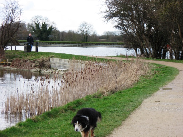 Marsworth and Startops Reservoirs. Tring - geograph.org.uk - 1221320