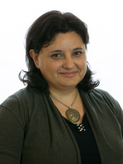 Monica Casaletto datisenato 2013.jpg