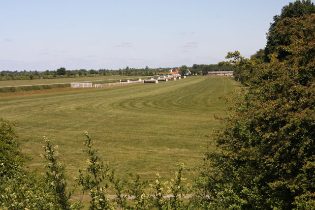 File:National Hunt Training Ground, Newmarket - geograph.org.uk - 1919735.jpg