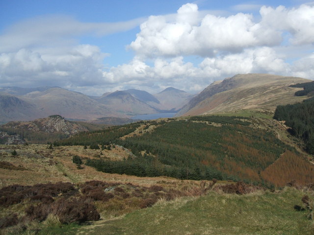 New planting on Irton Pike - geograph.org.uk - 746610