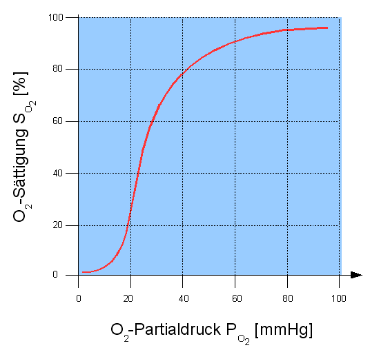 O2-Bindungskurve