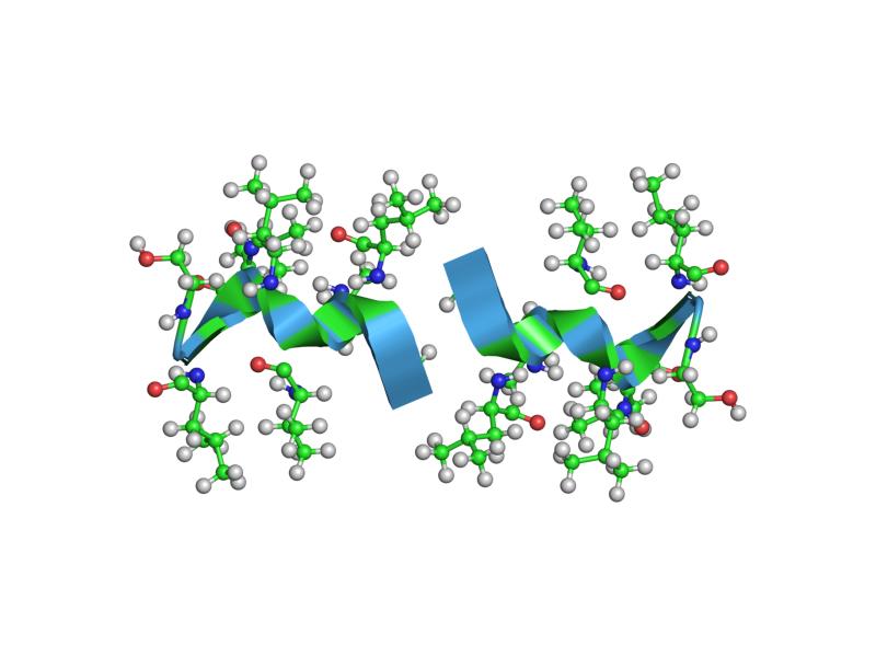 File:PDB 1nt5 EBI.jpg