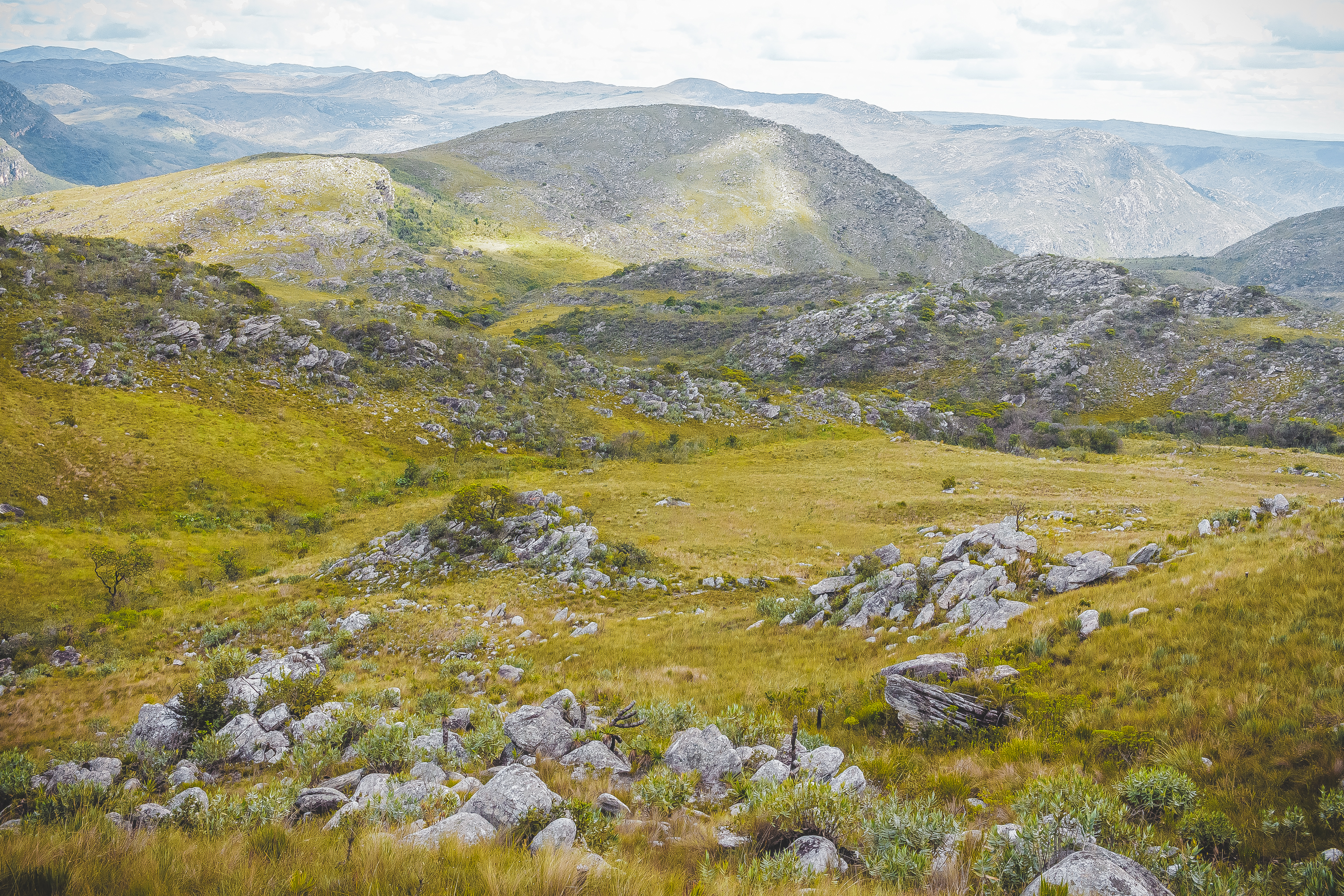 Serra do Cipó National Park - Wikipedia | Röhrenhosen