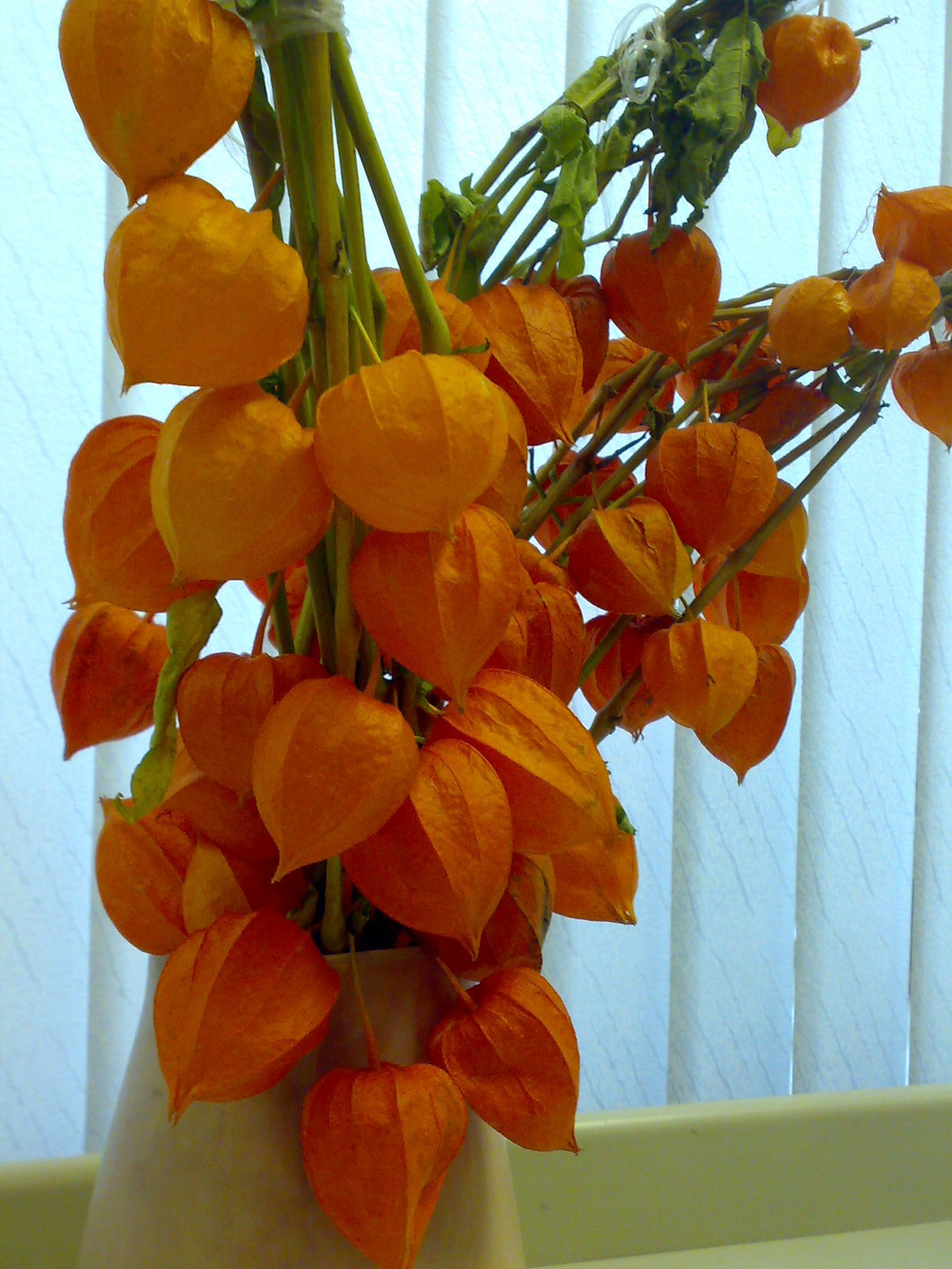 chinese lantern flower bouquet