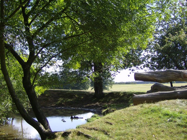 Pond near Greys Court - geograph.org.uk - 557597