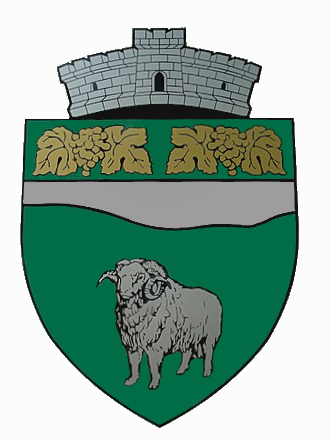 File:ROU CS Ciuchici CoA.jpg