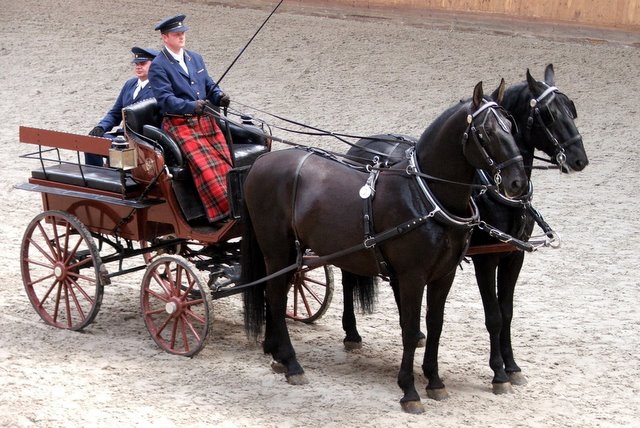 Inleg As borstel Mennen (paardensport) - Wikipedia